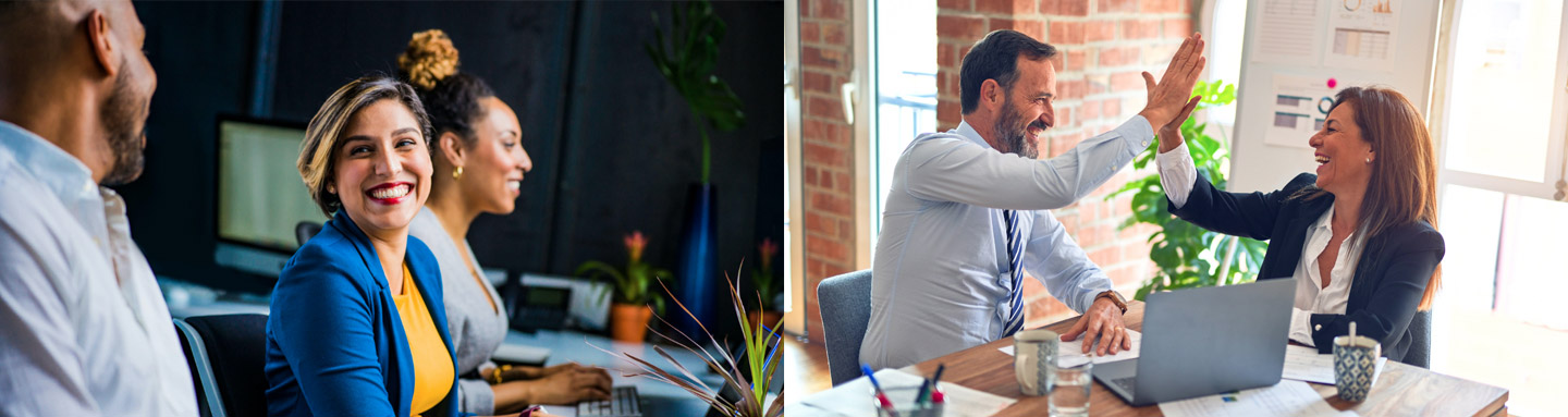 professional services